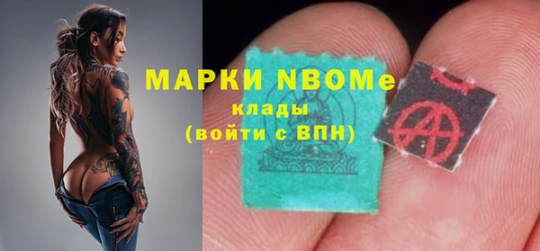 дживик Надым