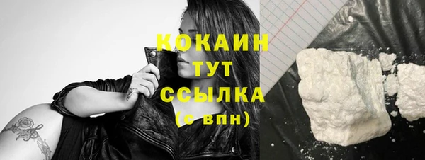 ешки Билибино