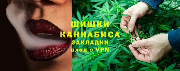 дживик Надым