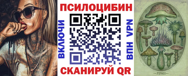 Псилоцибиновые грибы GOLDEN TEACHER Нижний Ломов